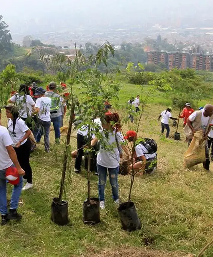Foto Apadrina Arbol