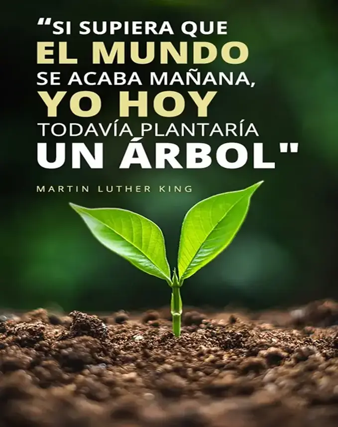 fraseMLK